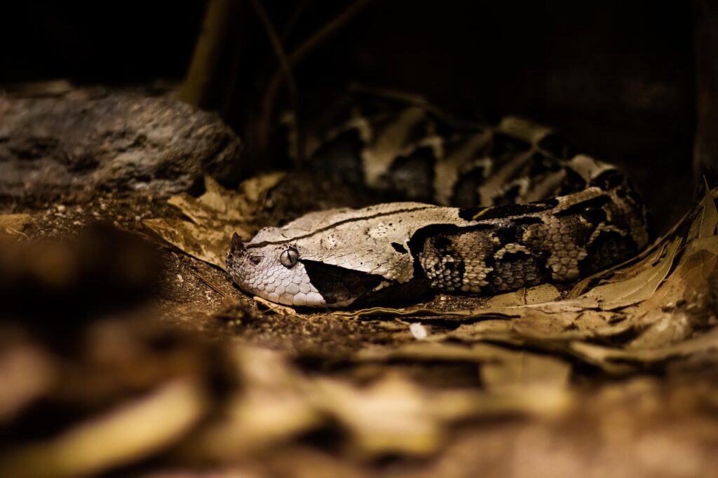 スマホでチャットレディをする際の危険や危ないポイントとは？