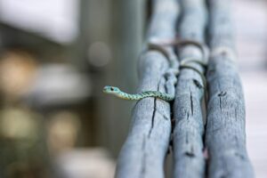LINE副業の安全性について知っておくべきことは？